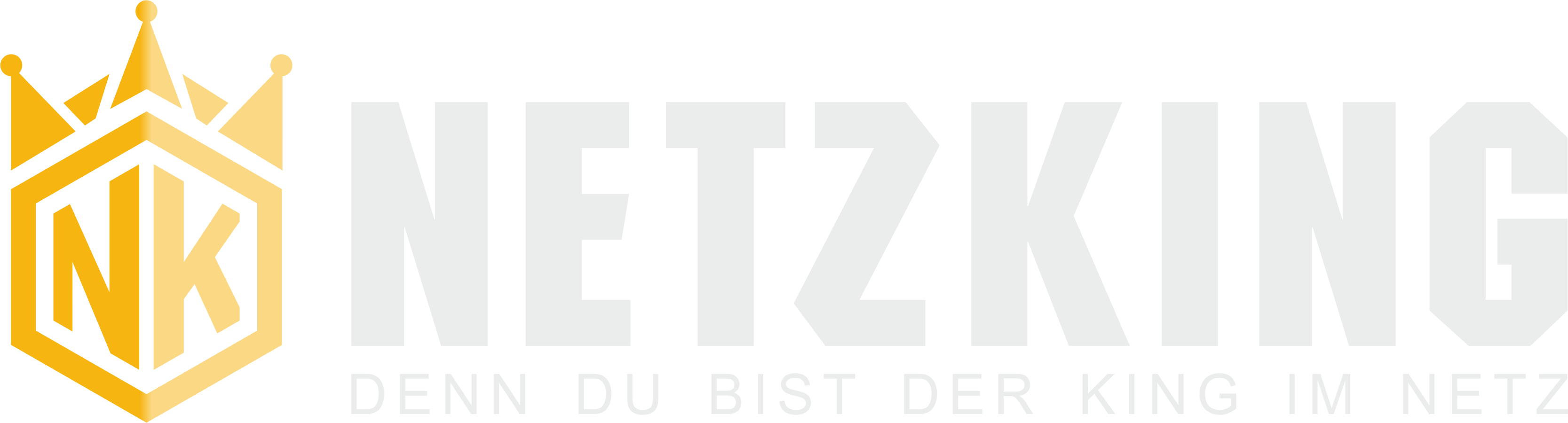 Netzking Logo